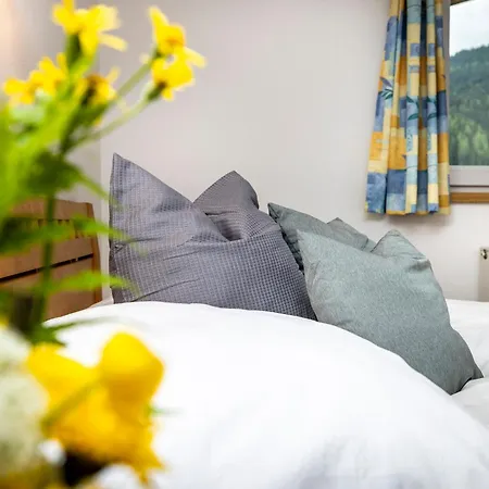 Appartement Angelika Flachau