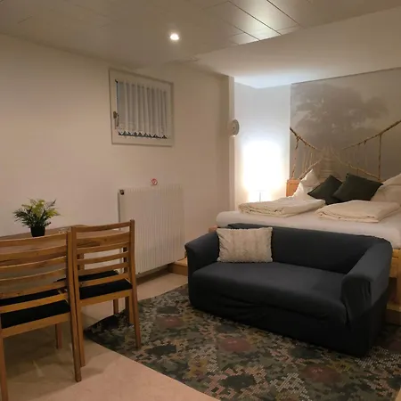 아파트 Angelika 플라차우